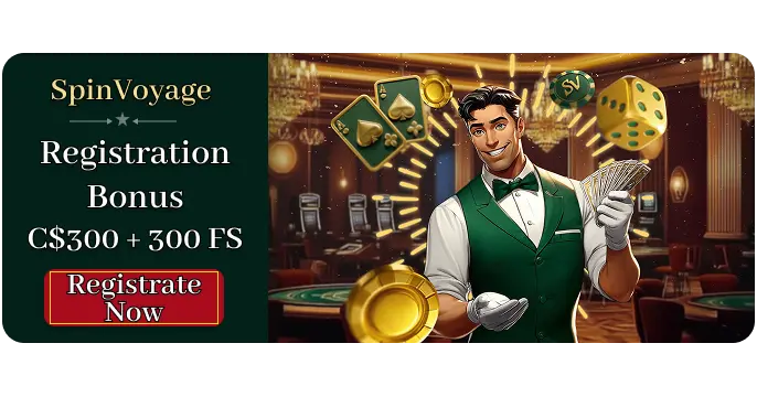 spinvoyage